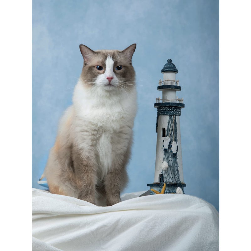 Kate 5x7ft/1.5x2.2m Blue Backdrop Texture Baby Blue Portrait Photo Shoot Studio Props - Image 2